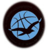 https://img.gaibianli.com/img/basketball/team/1a45d903dafdcc026ec9809d9916a681.png