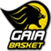 https://img.gaibianli.com/img/basketball/team/4a49eae5c70249d2a14468891950fe3e.png