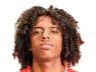 https://img.gaibianli.com/img/football/player/135ad8787fd13961a93e165e79e736ff.png