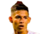 https://img.gaibianli.com/img/football/player/256dcd3c814bd8fea3fab644d67a539f.png